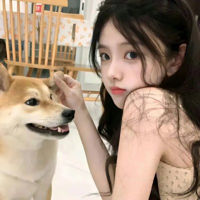 双子座计划